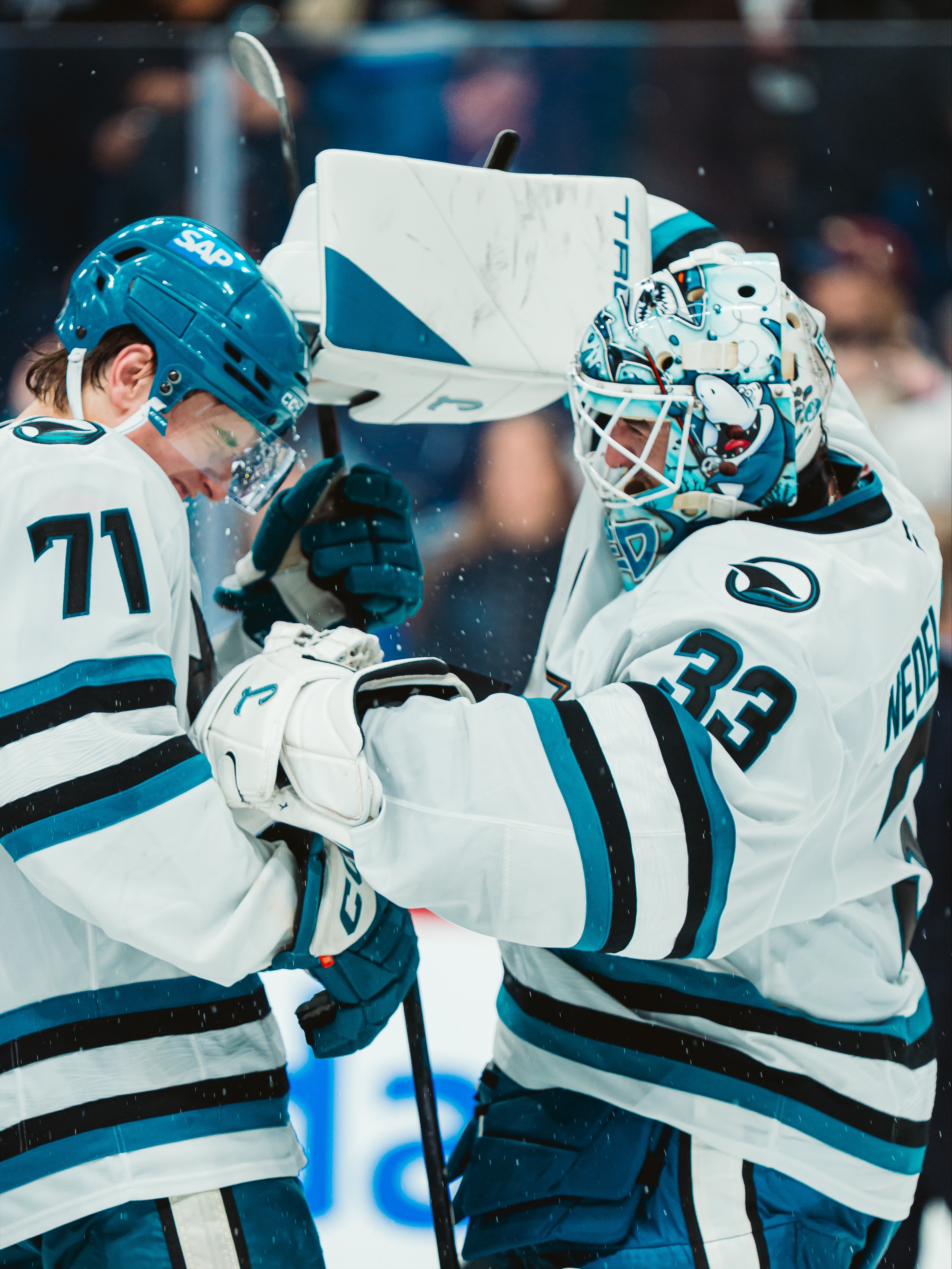 Tiburones Fuera del Agua, San José Enfrenta un Verano Decisivo